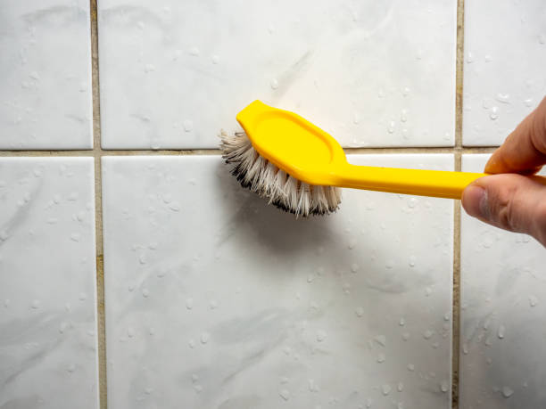 Best Professional Mold Removal  in Four Corners, MT