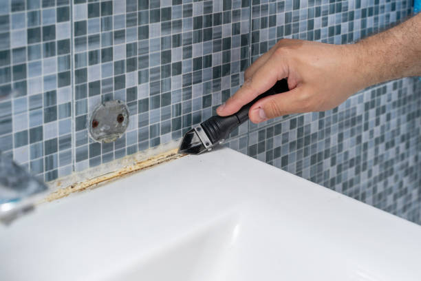 Best Mold Removal Specialists  in Four Corners, MT