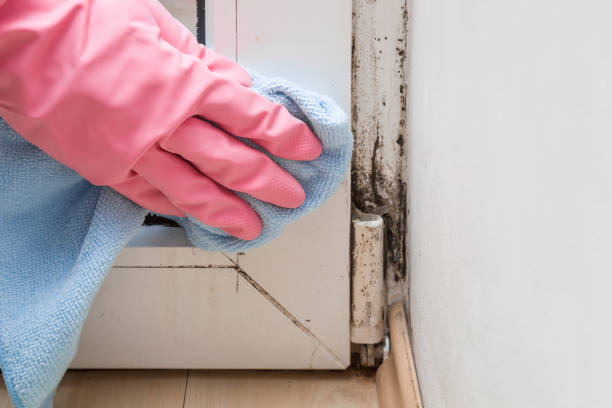 Crawl Space Mold Removal in Four Corners, MT